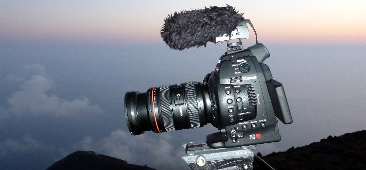 Canon C 100